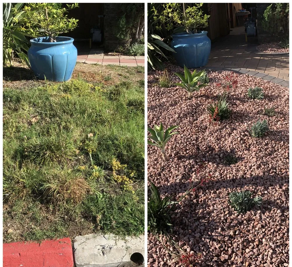 Trusted landscape design in San Marcos, CA - Los Agaves Landscaping