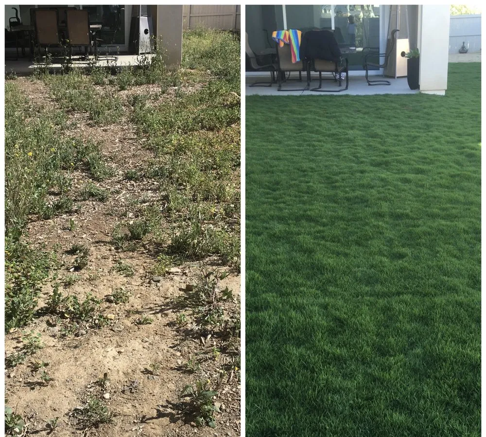 Professional lawn care service in San Marcos, CA by Los Agaves Landscaping