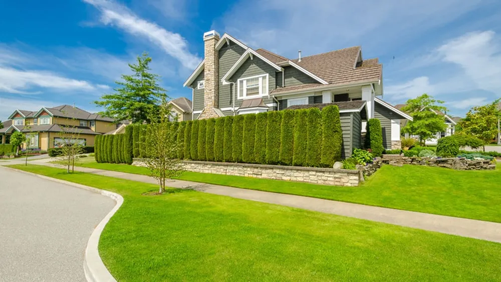 Reliable lawn care service near you in Los Alamos, NM by Los Alamos Landscaping & More