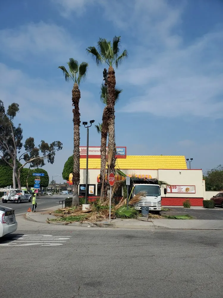 Custom landscape design for homes in Azusa, CA by Los Altos Landscape Maintenance And Tree Service