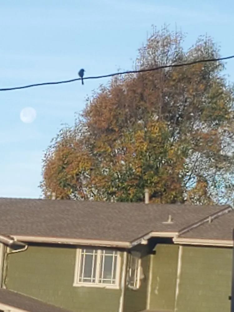 Expert landscaping services with custom design across Azusa, CA - Los Altos Landscape Maintenance And Tree Service