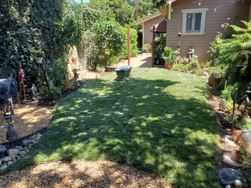 Local garden landscaping in Azusa, CA - Los Altos Landscape Maintenance And Tree Service
