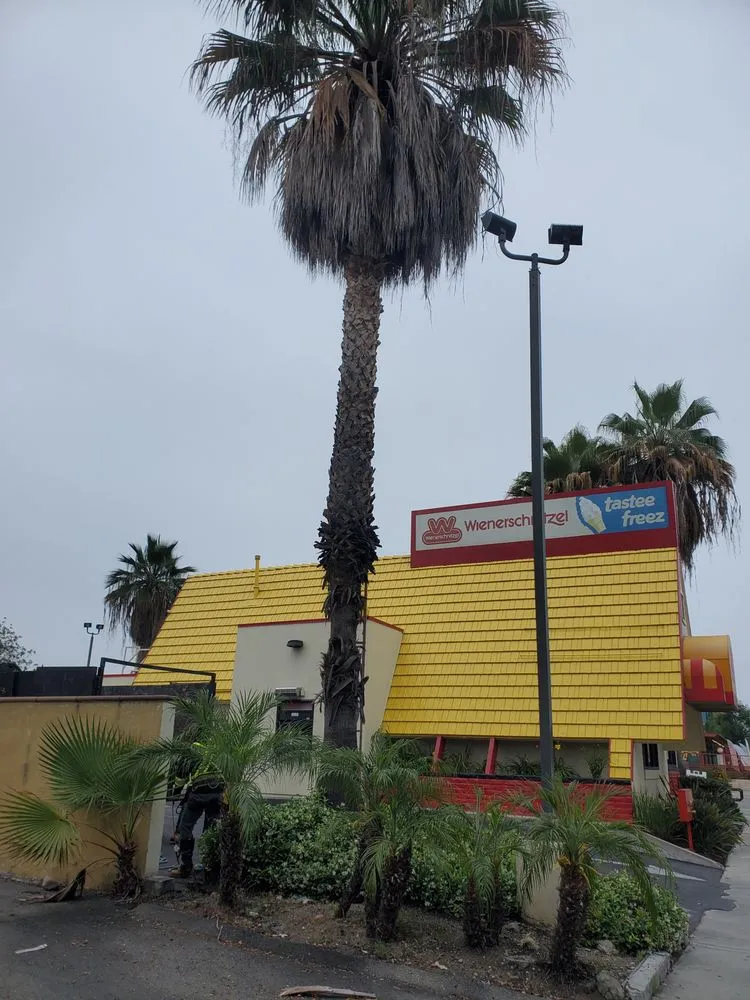 Top-rated residential landscaping for homes across Azusa, CA - Los Altos Landscape Maintenance And Tree Service