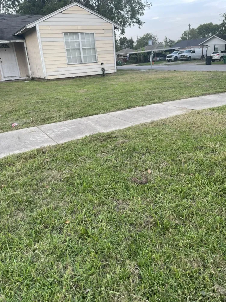 Custom landscaping services in Houston, TX - Los amigos