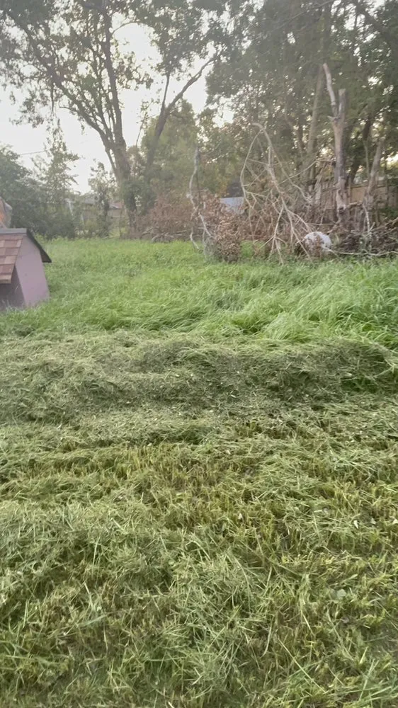 Trusted lawn mowing service for beautiful yards across Houston, TX - Los amigos