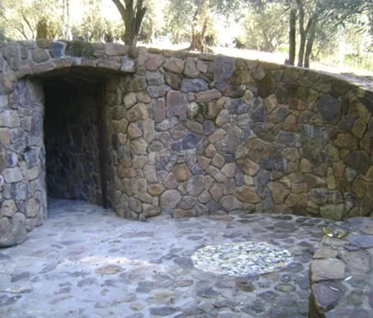 Local yard maintenance in Napa, CA - Los Amigos Landscape