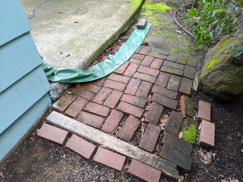 Trusted yard cleanup service in Napa, CA - Los Amigos Landscape