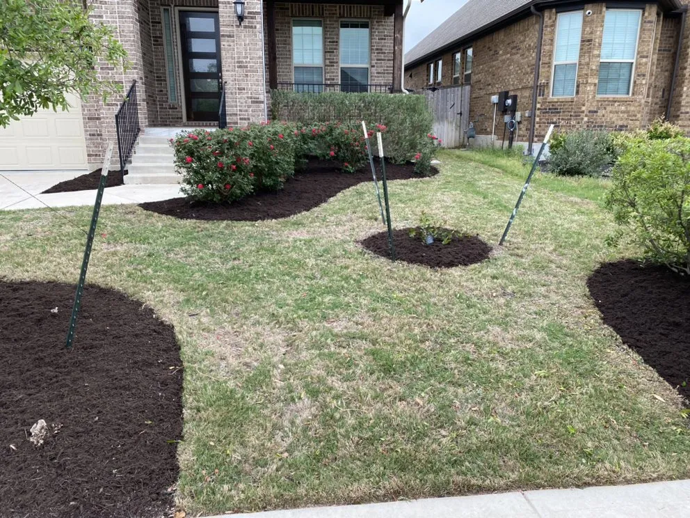 Expert outdoor landscaping in Leander, TX by Los Amigos Landscaping