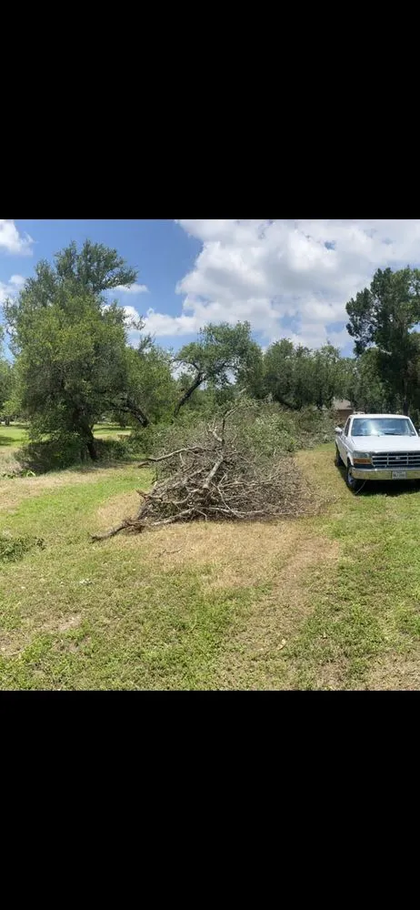 Reliable landscape installation in Leander, TX - Los Amigos Landscaping