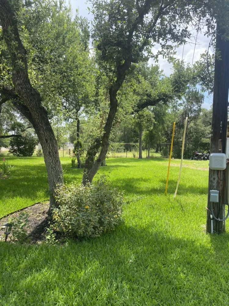 Trusted residential landscaping experts serving Leander, TX - Los Amigos Landscaping