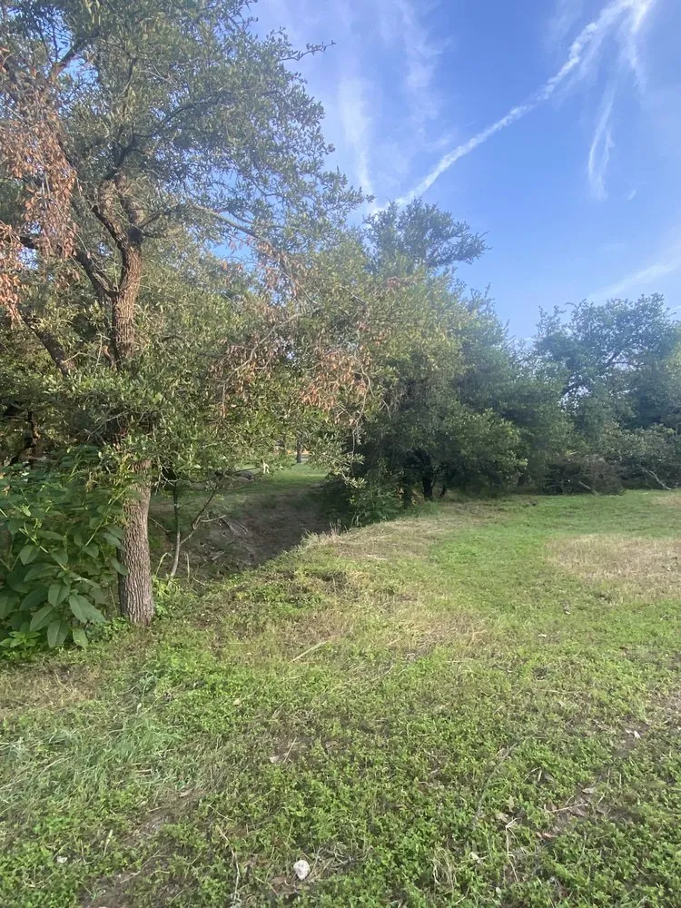 Reliable residential landscaping in Leander, TX by Los Amigos Landscaping