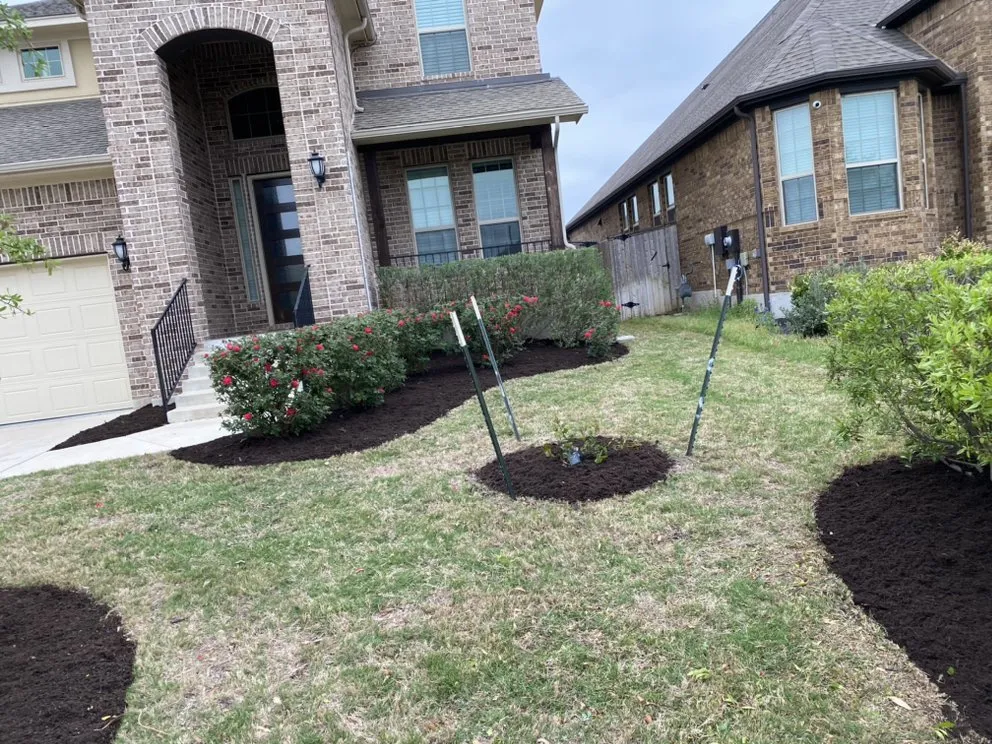 Top-rated yard cleanup service in Leander, TX - Los Amigos Landscaping