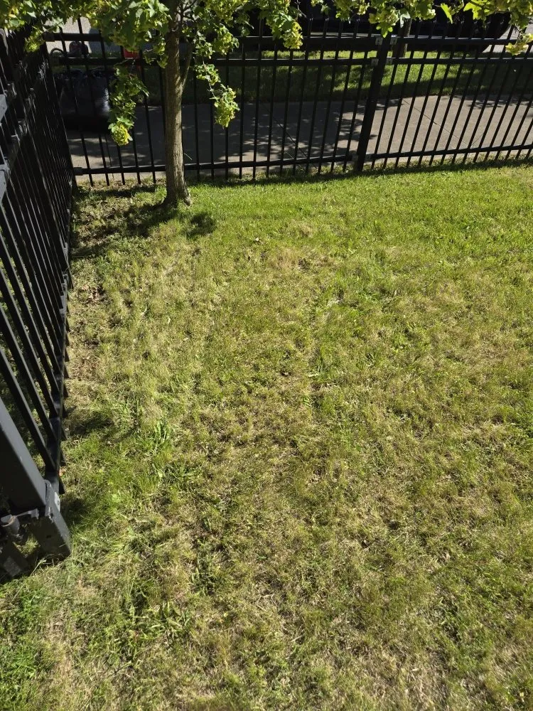 Professional yard maintenance in Cleveland, OH by Los Brothers Landscaping