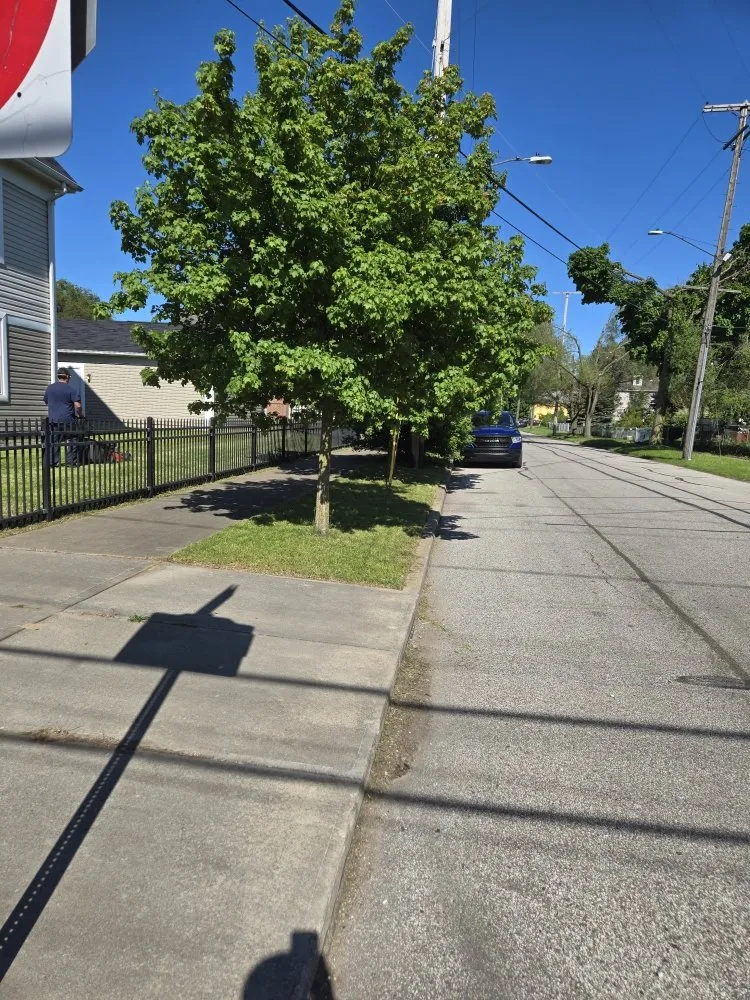 Affordable yard cleanup service in Cleveland, OH by Los Brothers Landscaping