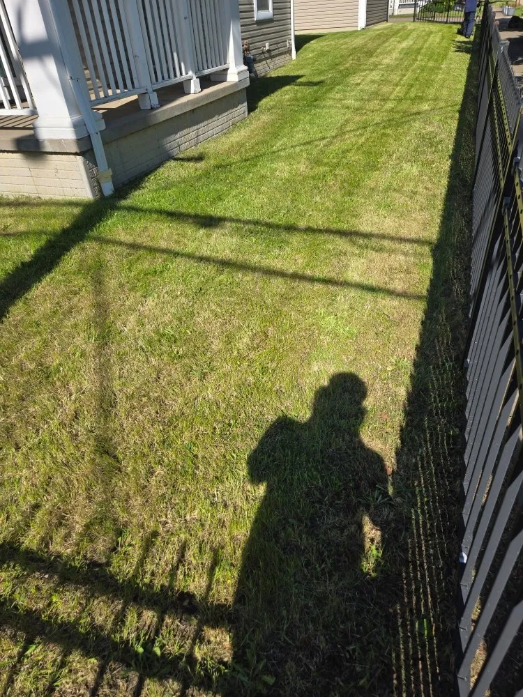 Top-rated landscape installation in Cleveland, OH - Los Brothers Landscaping