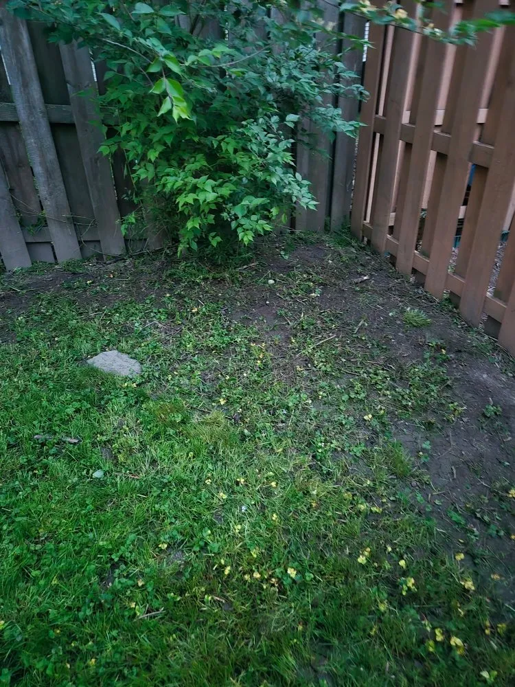 Trusted yard cleanup service experts serving Cleveland, OH - Los Brothers Landscaping