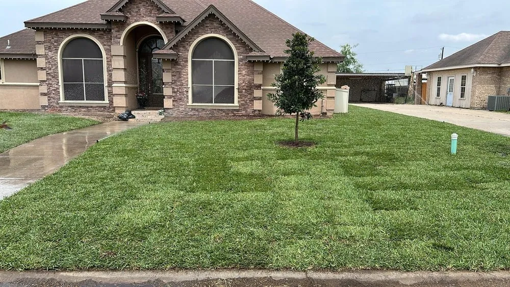 Expert residential landscaping in Edinburg, TX - Los Brothers Landscaping