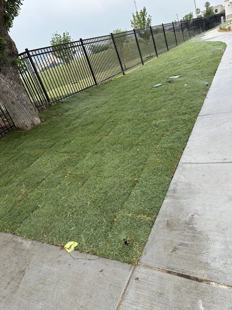 Expert landscaping services in Edinburg, TX - Los Brothers Landscaping