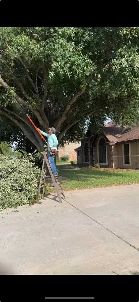 Top-rated yard maintenance for year-round maintenance in Edinburg, TX by Los Brothers Landscaping