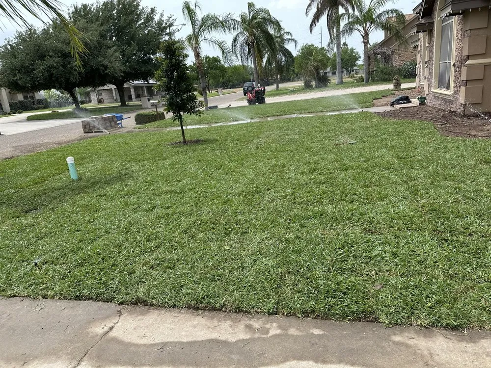 Top-rated outdoor landscaping in Edinburg, TX - Los Brothers Landscaping