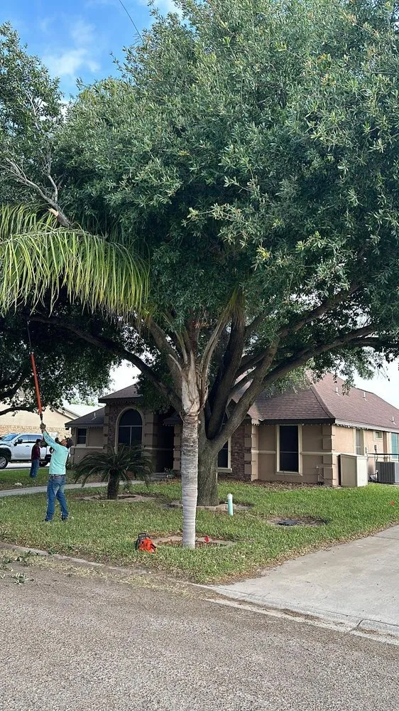 Custom lawn mowing service for outdoor upgrades across Edinburg, TX - Los Brothers Landscaping