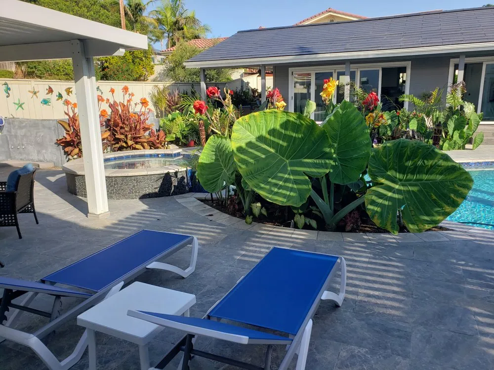 Custom yard cleanup service experts serving Vista, CA - Los Cabos Pools