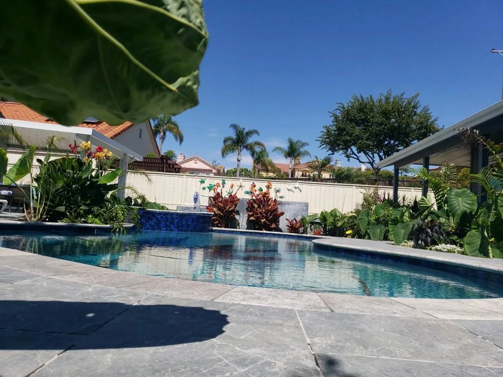 Trusted yard cleanup service in Vista, CA - Los Cabos Pools
