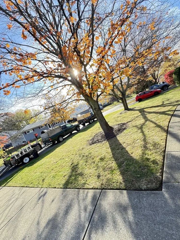 Local lawn care service experts serving Erie, PA - Los Chamos