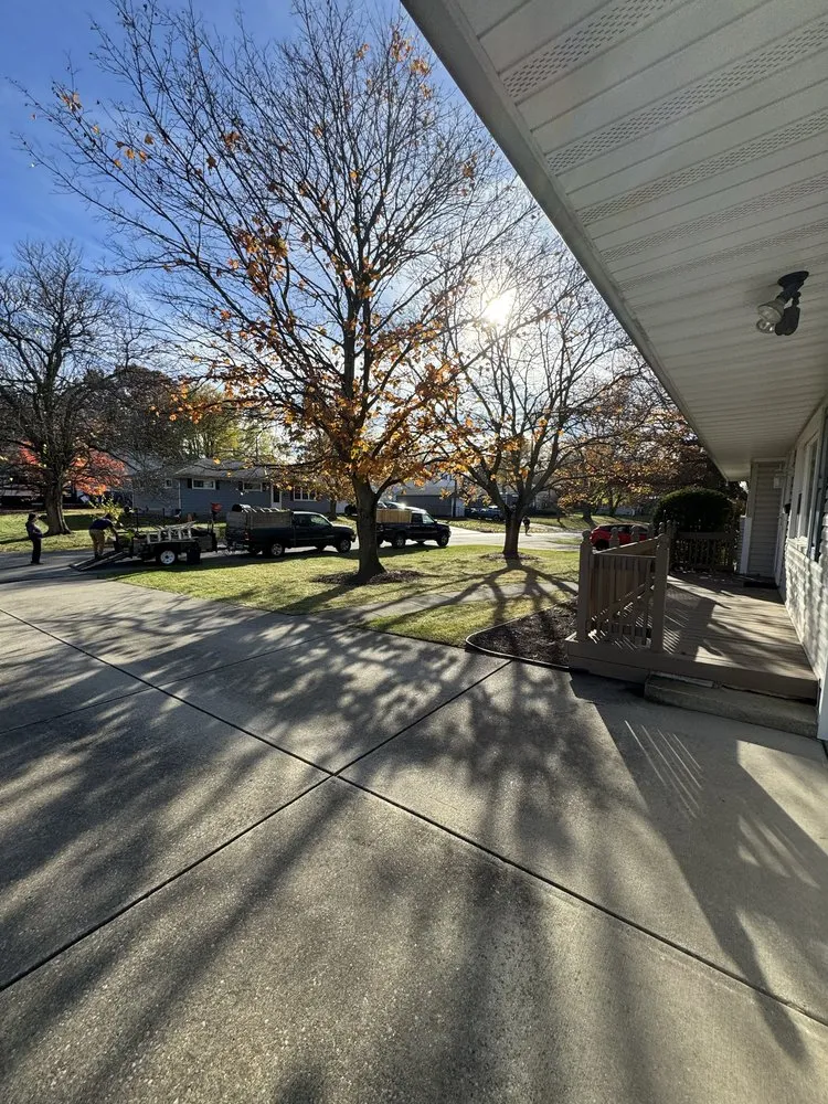 Local yard cleanup service for outdoor upgrades in Erie, PA by Los Chamos