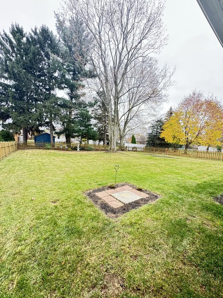 Professional lawn care service in Erie, PA by Los Chamos