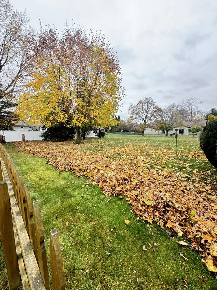 Custom landscaping services for outdoor upgrades in Erie, PA by Los Chamos