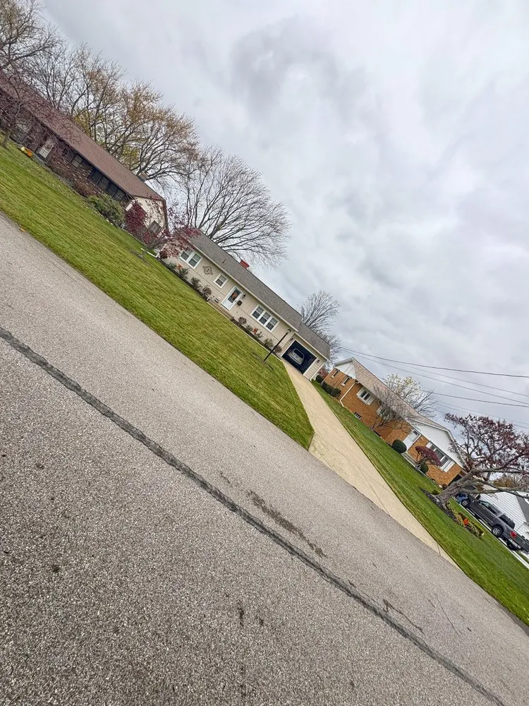 Trusted yard cleanup service experts serving Erie, PA - Los Chamos