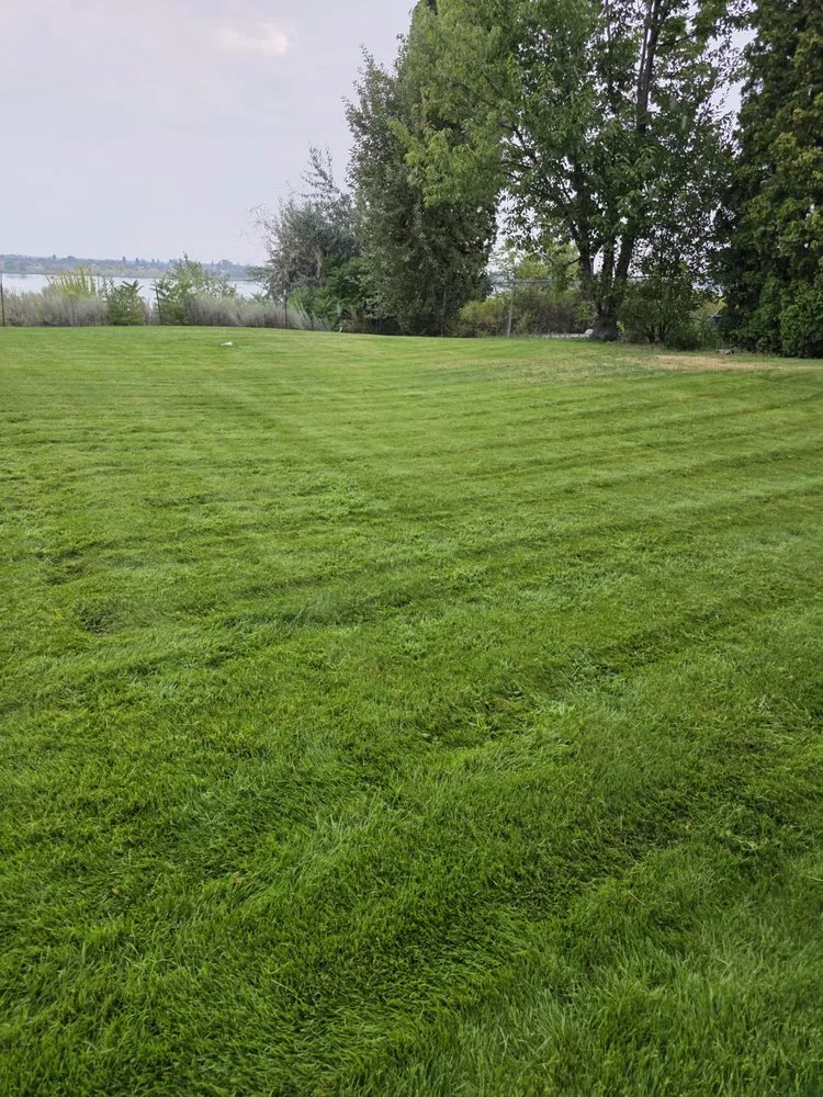 Custom landscape installation in Moses Lake, WA by Los Chilos Lawn Care