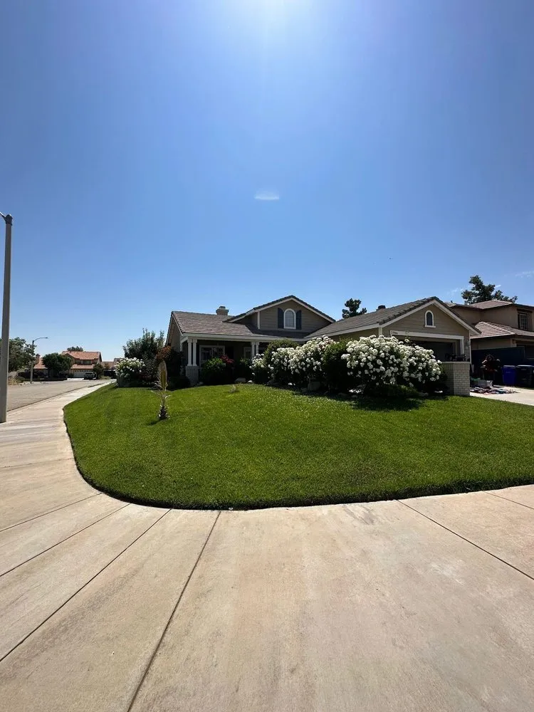 Reliable outdoor landscaping for homes in Palmdale, CA by Los Condes Landscaping