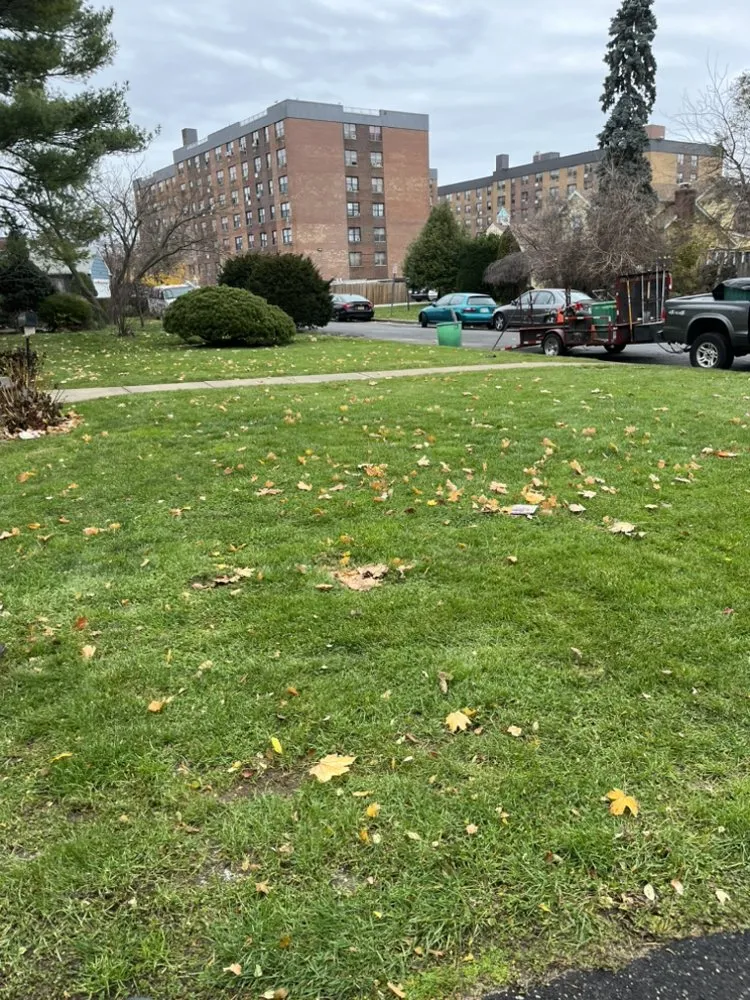 Professional landscaping services experts serving Hempstead, NY - Los Cuñados Services