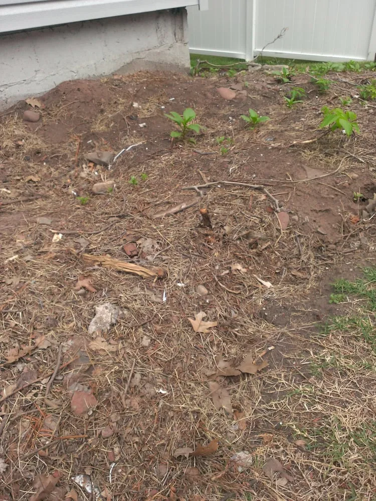 Reliable lawn care service in Elizabeth, NJ - Los Cuates Landscaping