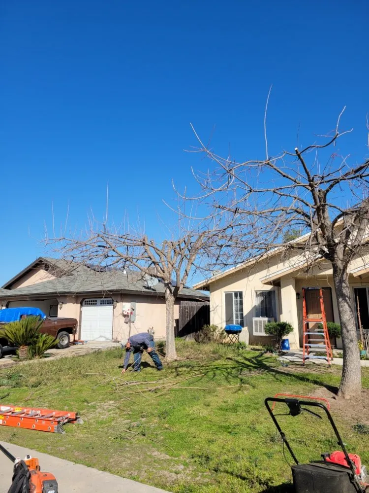 Professional garden landscaping experts serving Orange Cove, CA - Los De La Ex Lawn Care & Tree service