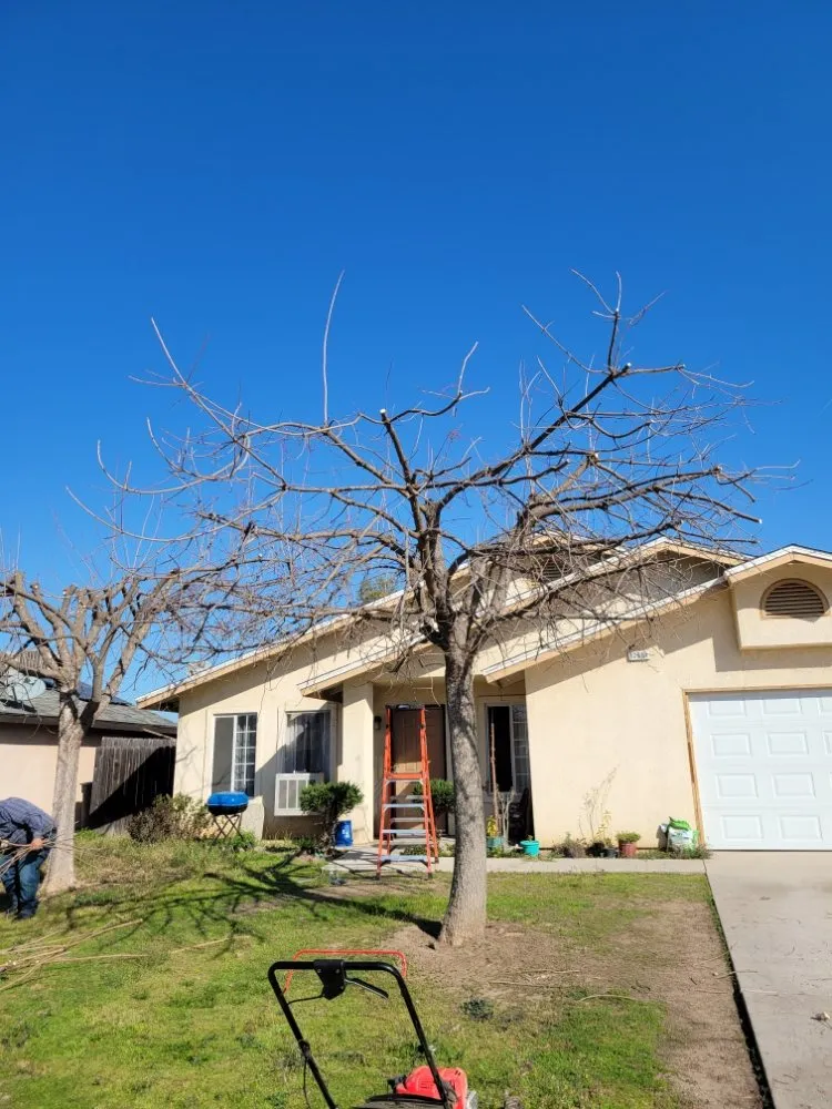 Custom landscape design with custom design in Orange Cove, CA by Los De La Ex Lawn Care & Tree service