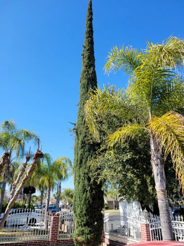 Affordable garden landscaping in Orange Cove, CA - Los De La Ex Lawn Care & Tree service