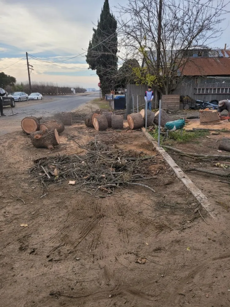 Professional yard maintenance for residential properties in Orange Cove, CA by Los De La Ex Lawn Care & Tree service