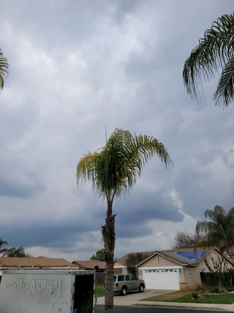 Reliable lawn mowing service in Orange Cove, CA by Los De La Ex Lawn Care & Tree service