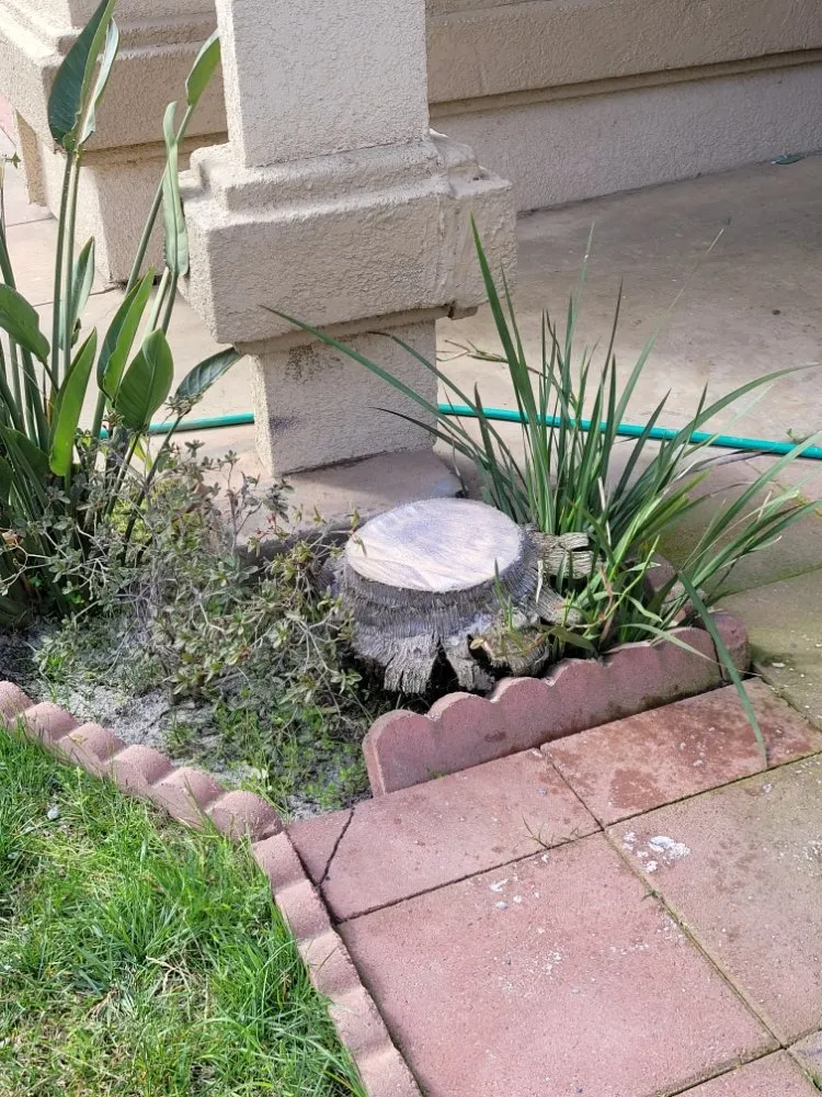 Expert landscaping services for homes across Orange Cove, CA - Los De La Ex Lawn Care & Tree service