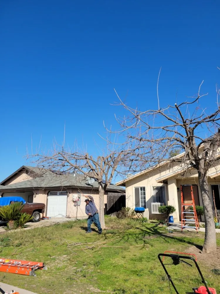 Reliable landscape design for outdoor upgrades in Orange Cove, CA by Los De La Ex Lawn Care & Tree service