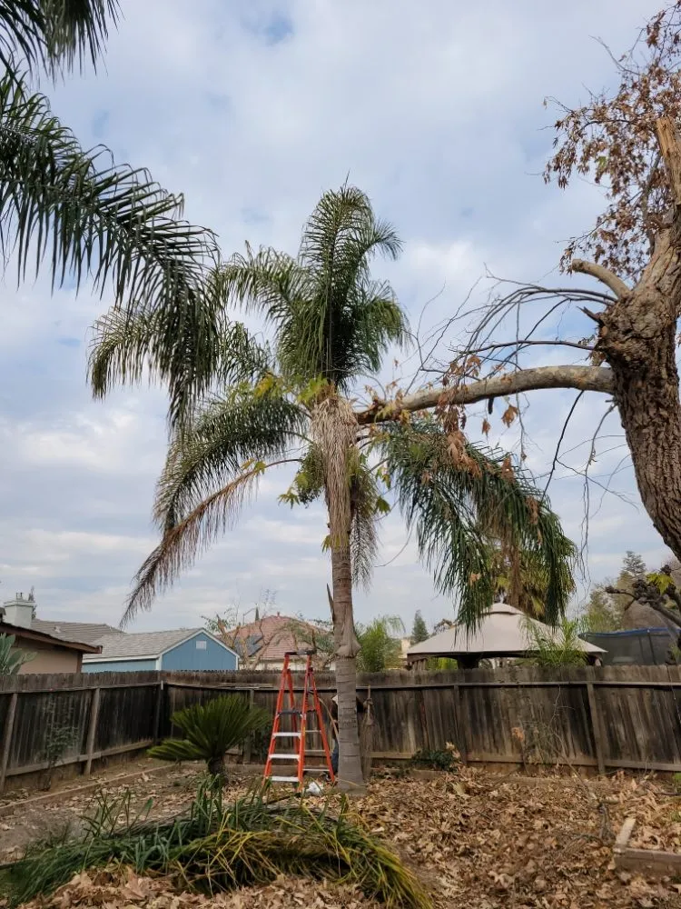 Reliable residential landscaping for outdoor upgrades across Orange Cove, CA - Los De La Ex Lawn Care & Tree service