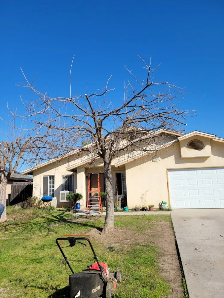 Top-rated garden landscaping for year-round maintenance in Orange Cove, CA by Los De La Ex Lawn Care & Tree service