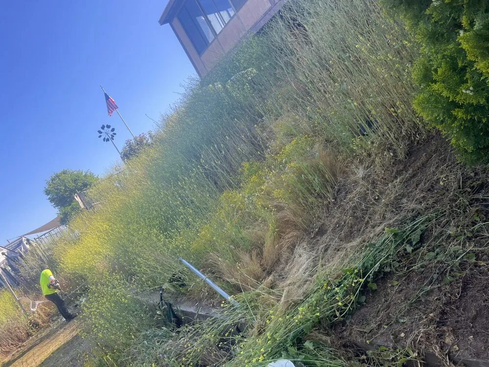 Affordable residential landscaping with custom design in Hemet, CA by Los Dos Amigos Landscaping