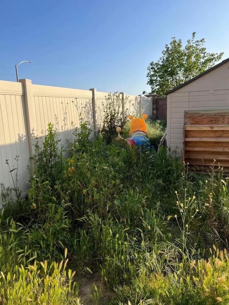 Reliable yard cleanup service in Hemet, CA - Los Dos Amigos Landscaping