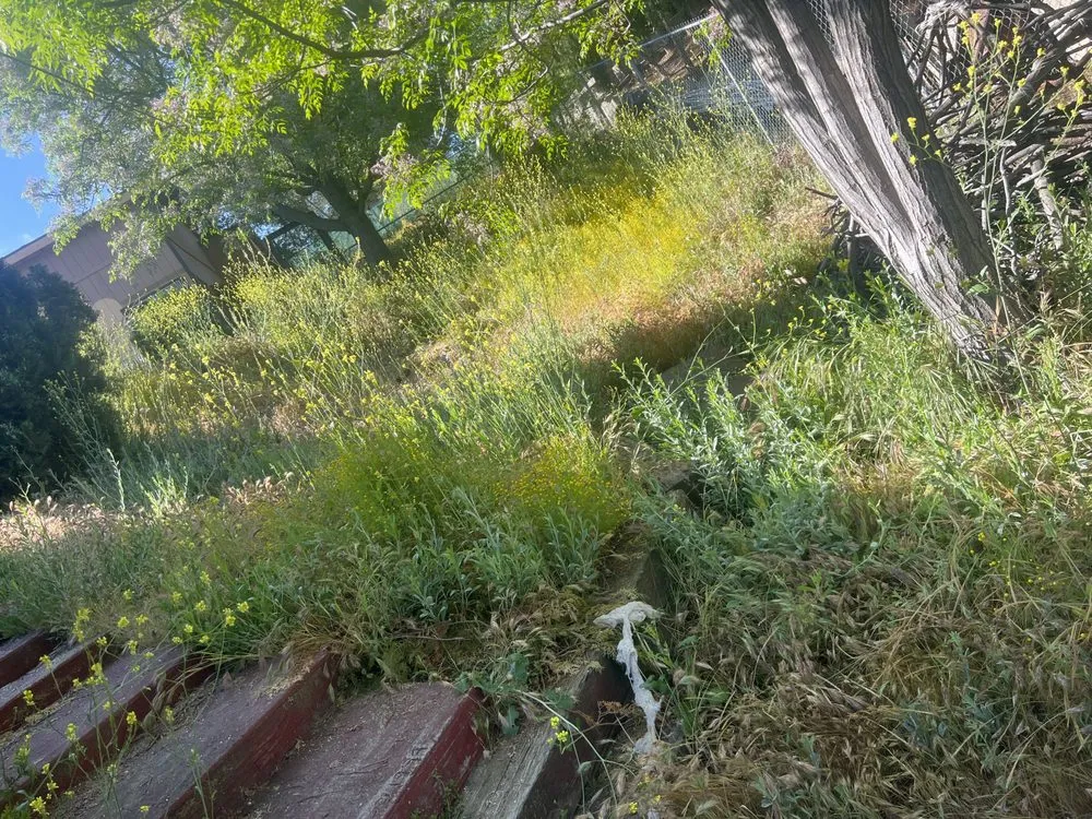 Trusted outdoor landscaping in Hemet, CA - Los Dos Amigos Landscaping