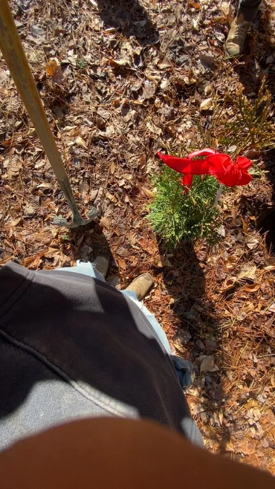 Trusted outdoor landscaping experts serving Dalton, GA - Los Farmerz Landscape