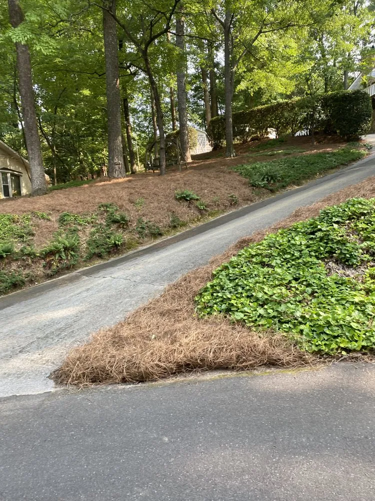 Affordable yard cleanup service in Dalton, GA by Los Farmerz Landscape